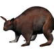 Image for article titled Island Gigantism: How Islands Really Do Breed Giant Creatures